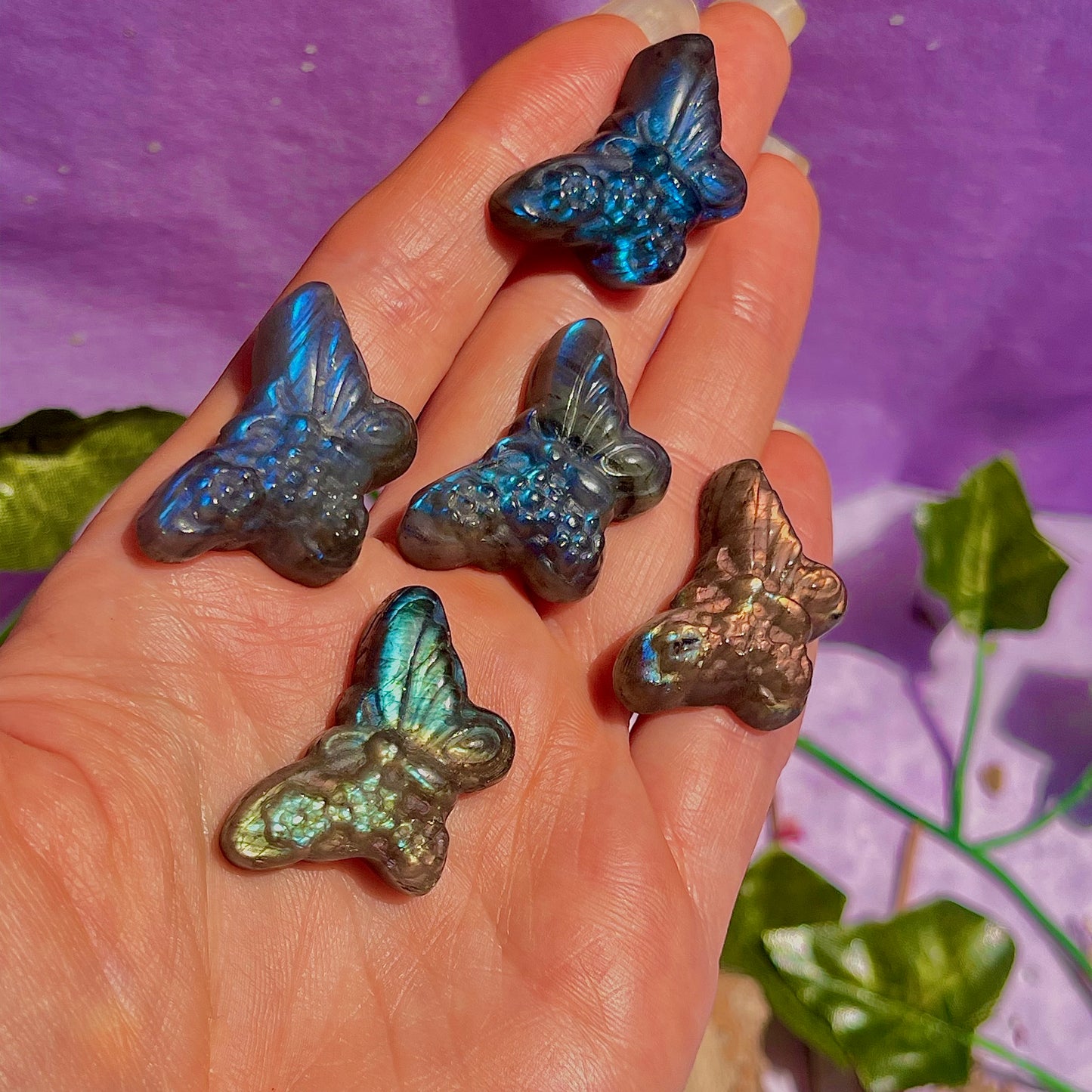 labradorite butterfly carvings ~ intuitively chosen