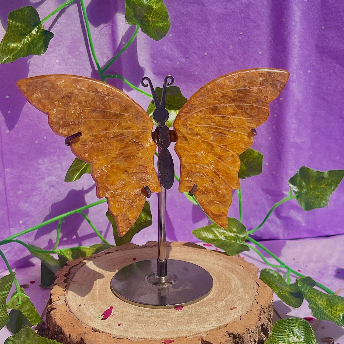 golden healer butterfly wings on stand