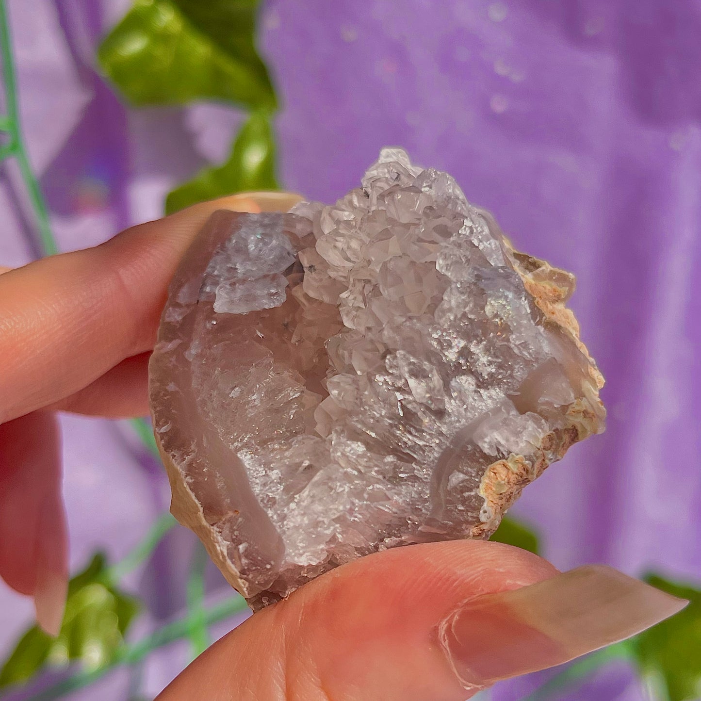 druzy agate geodes D1-5