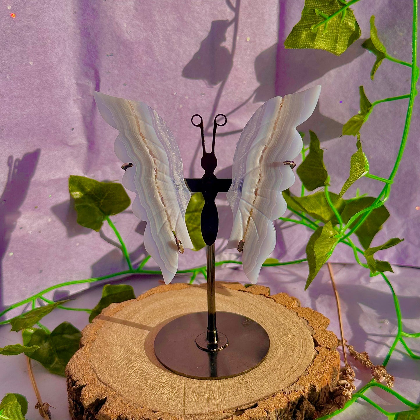 blue lace agate butterfly wings on stand A