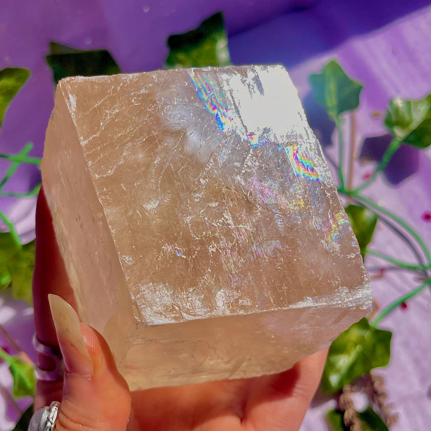optical golden calcite natural rhododendron ~ xlarge