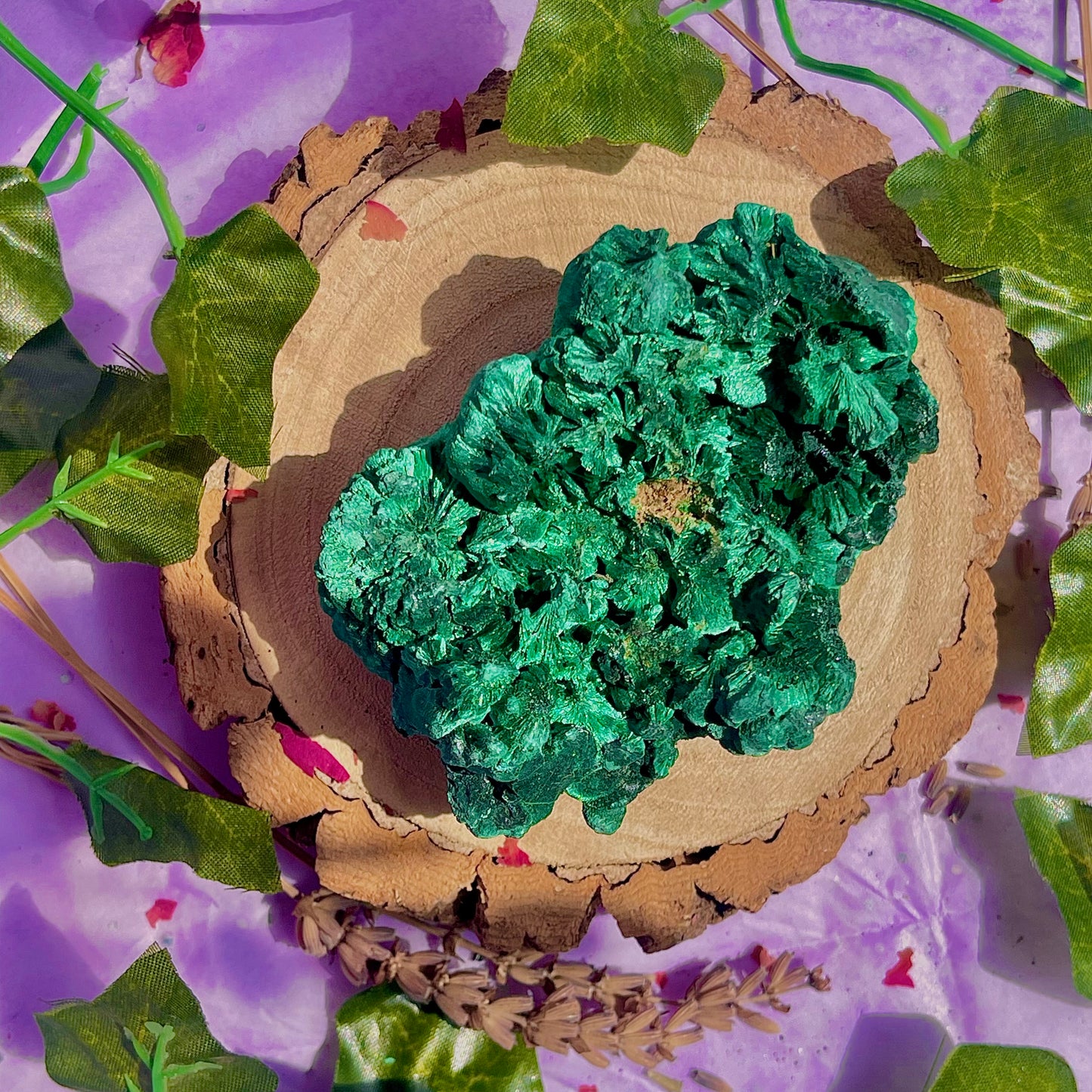 fibrous malachite specimen A (3-4inch)