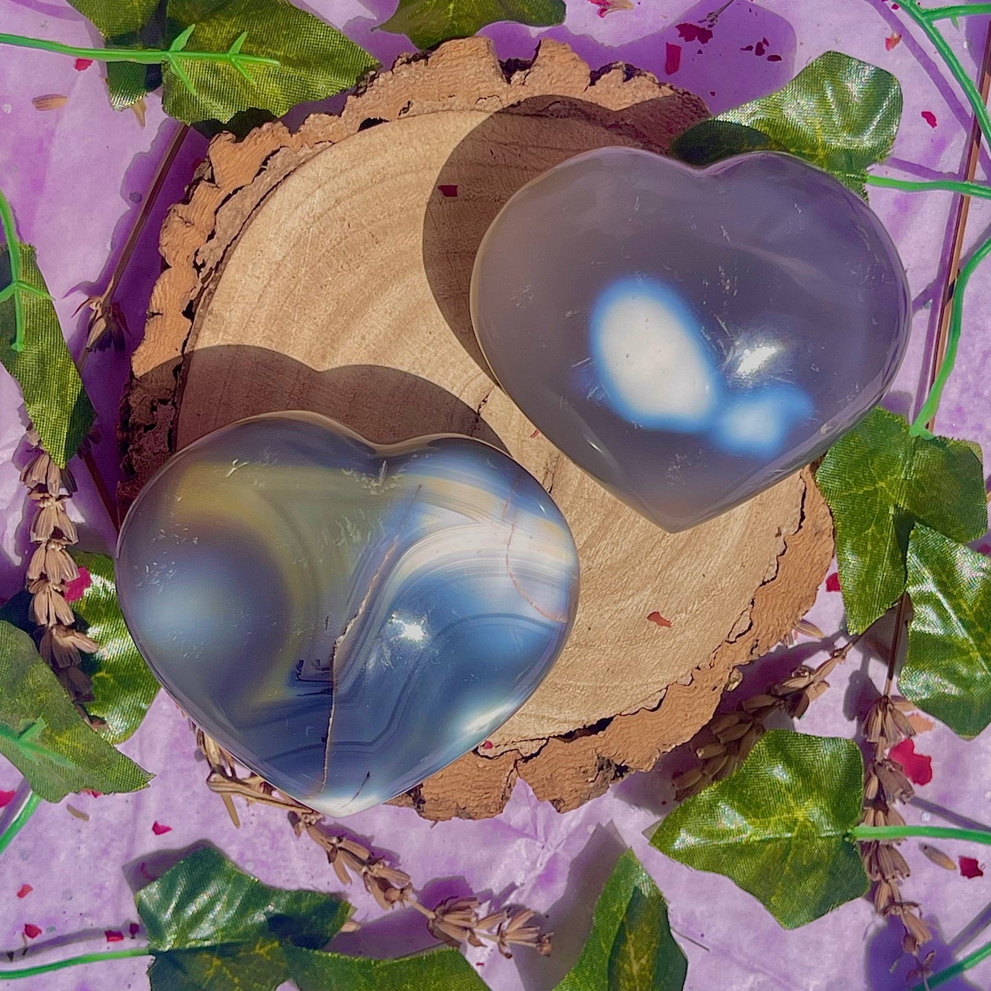 orca agate heart carvings ~ choose your own
