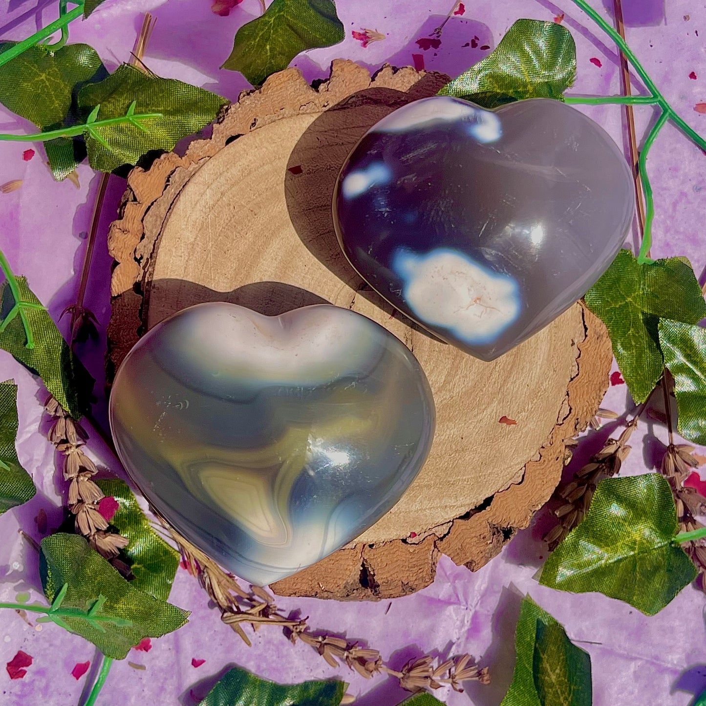 orca agate heart carvings ~ choose your own