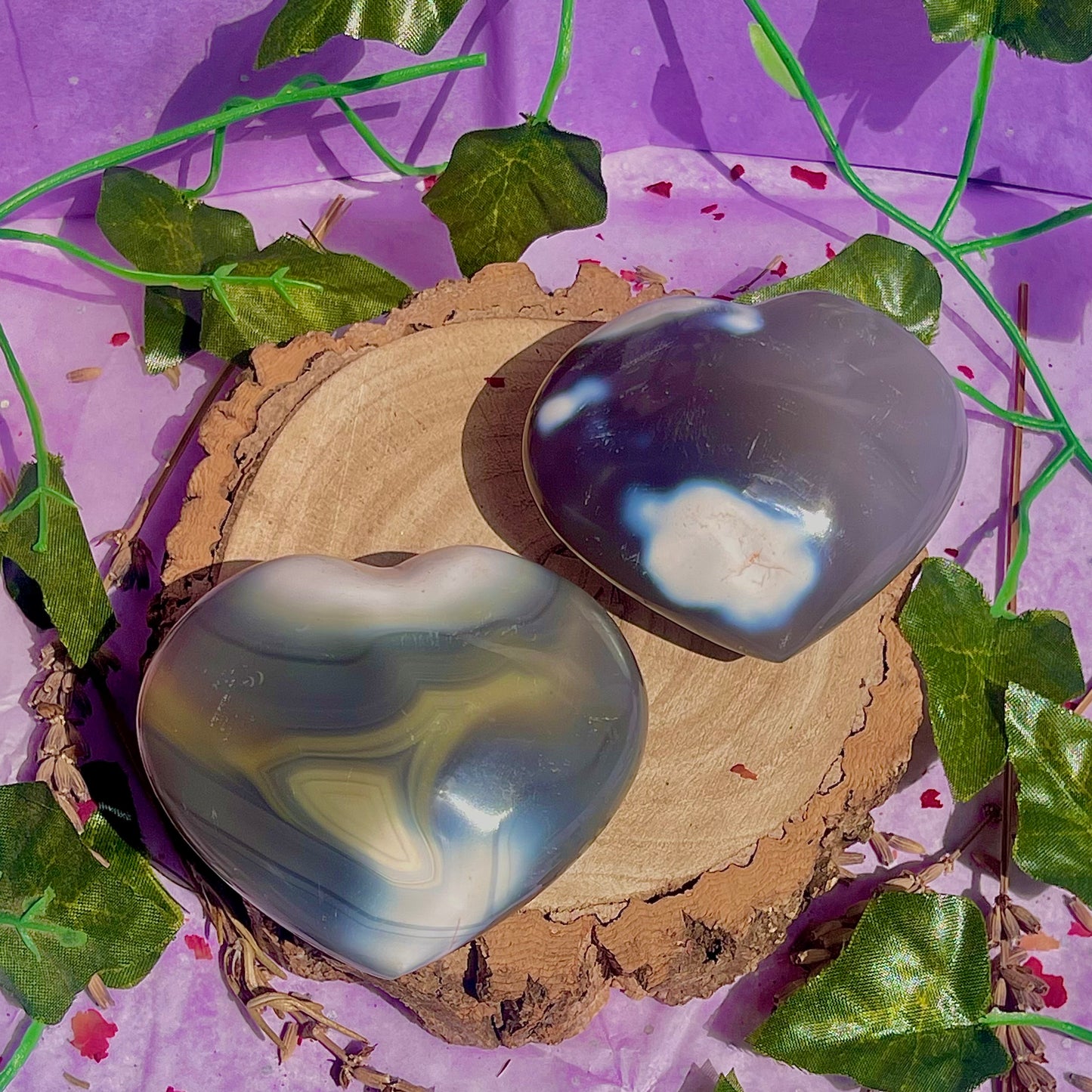 orca agate heart carvings ~ choose your own