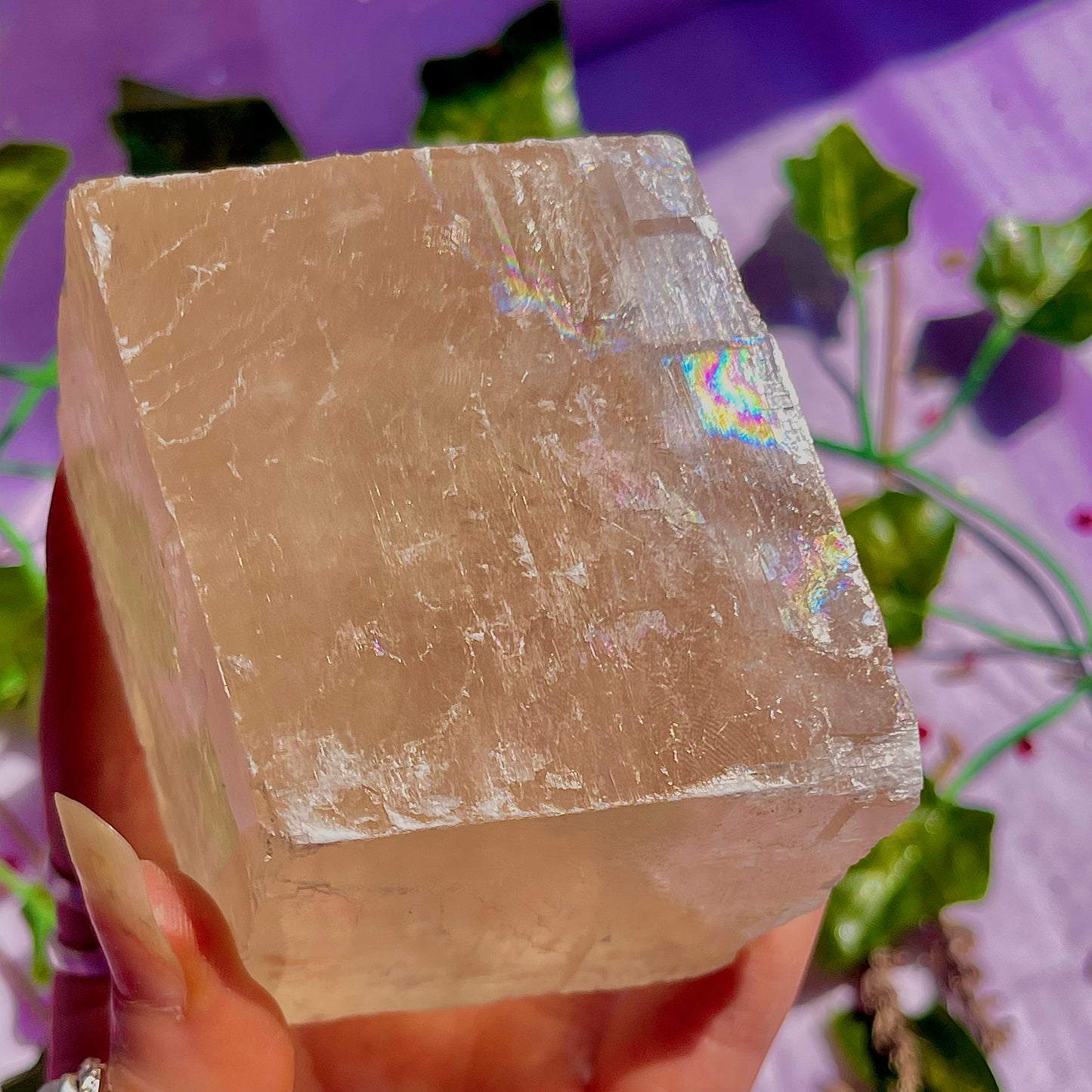 optical golden calcite natural rhododendron ~ xlarge