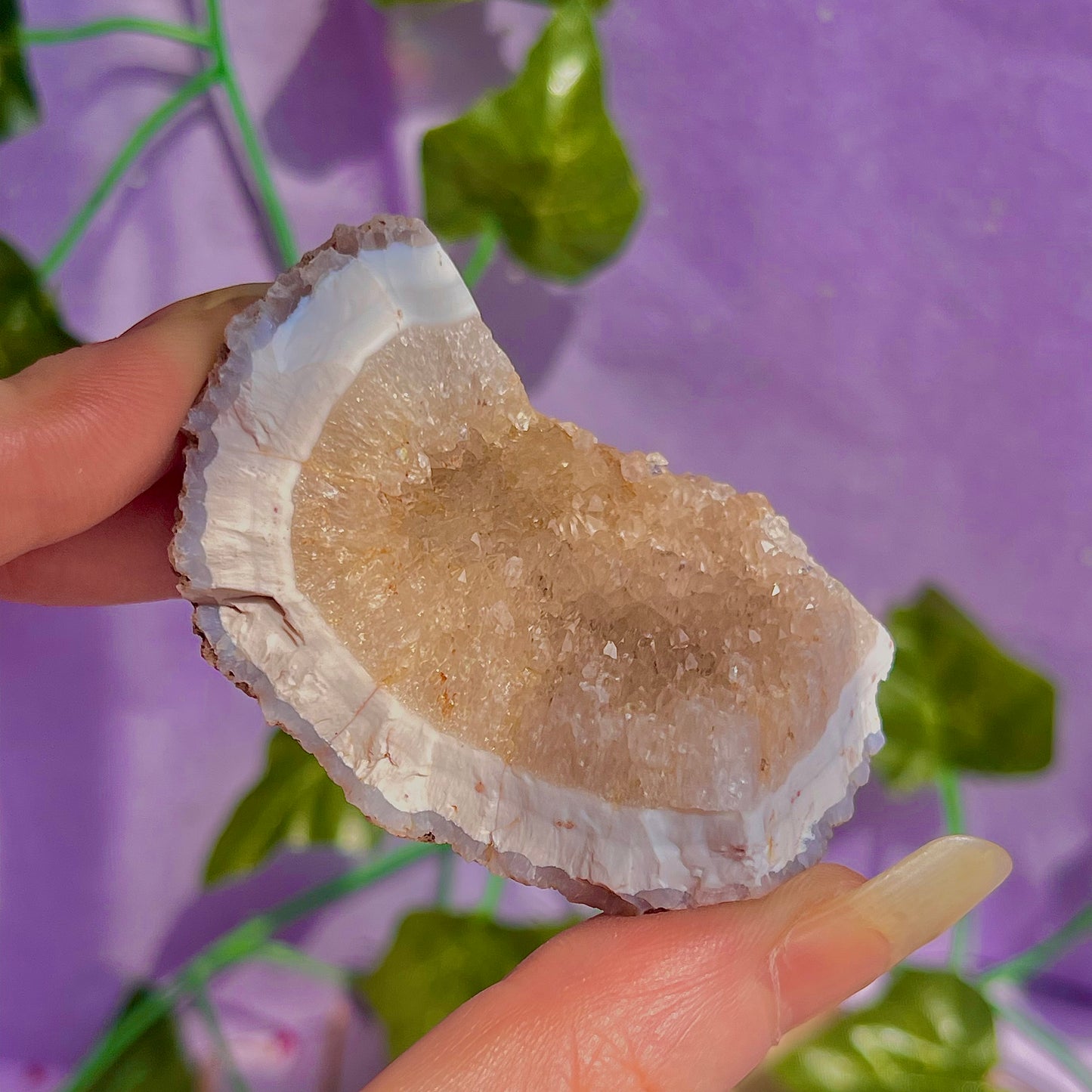 druzy agate geodes D1-5