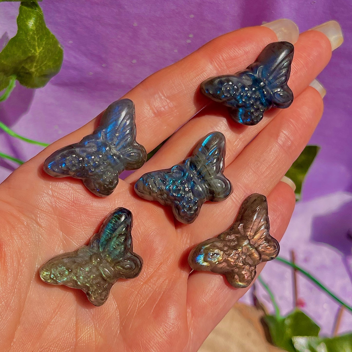 labradorite butterfly carvings ~ intuitively chosen