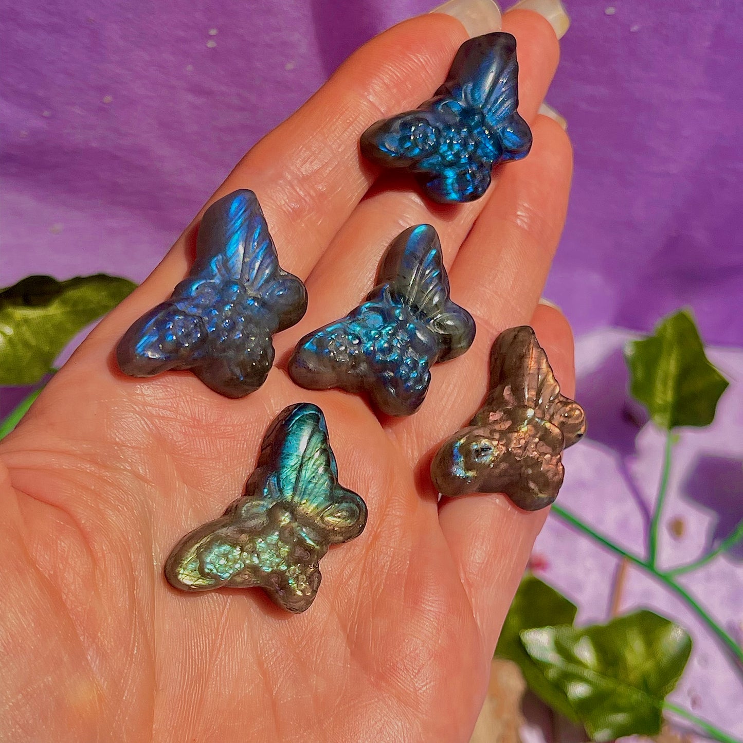 labradorite butterfly carvings ~ intuitively chosen