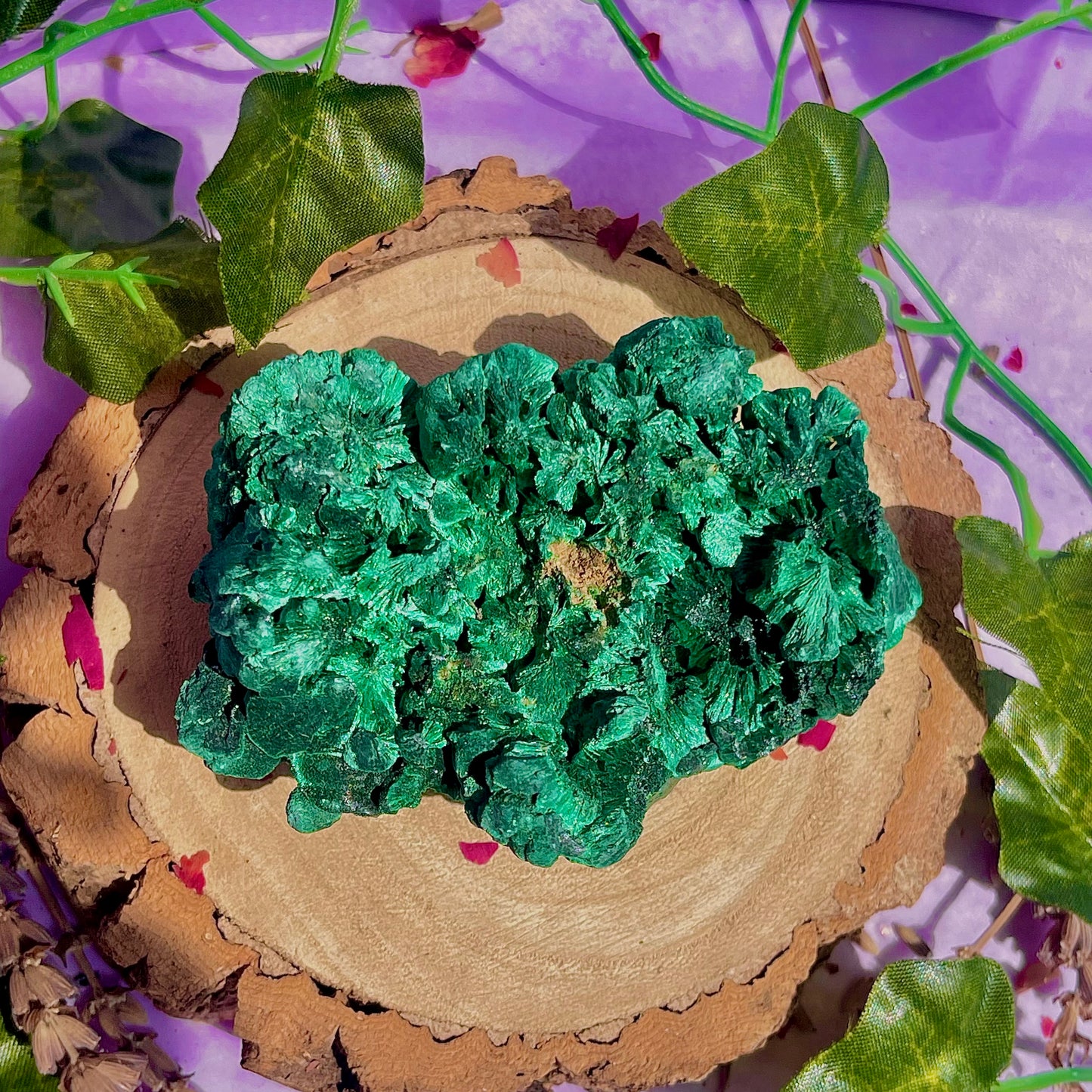 fibrous malachite specimen A (3-4inch)