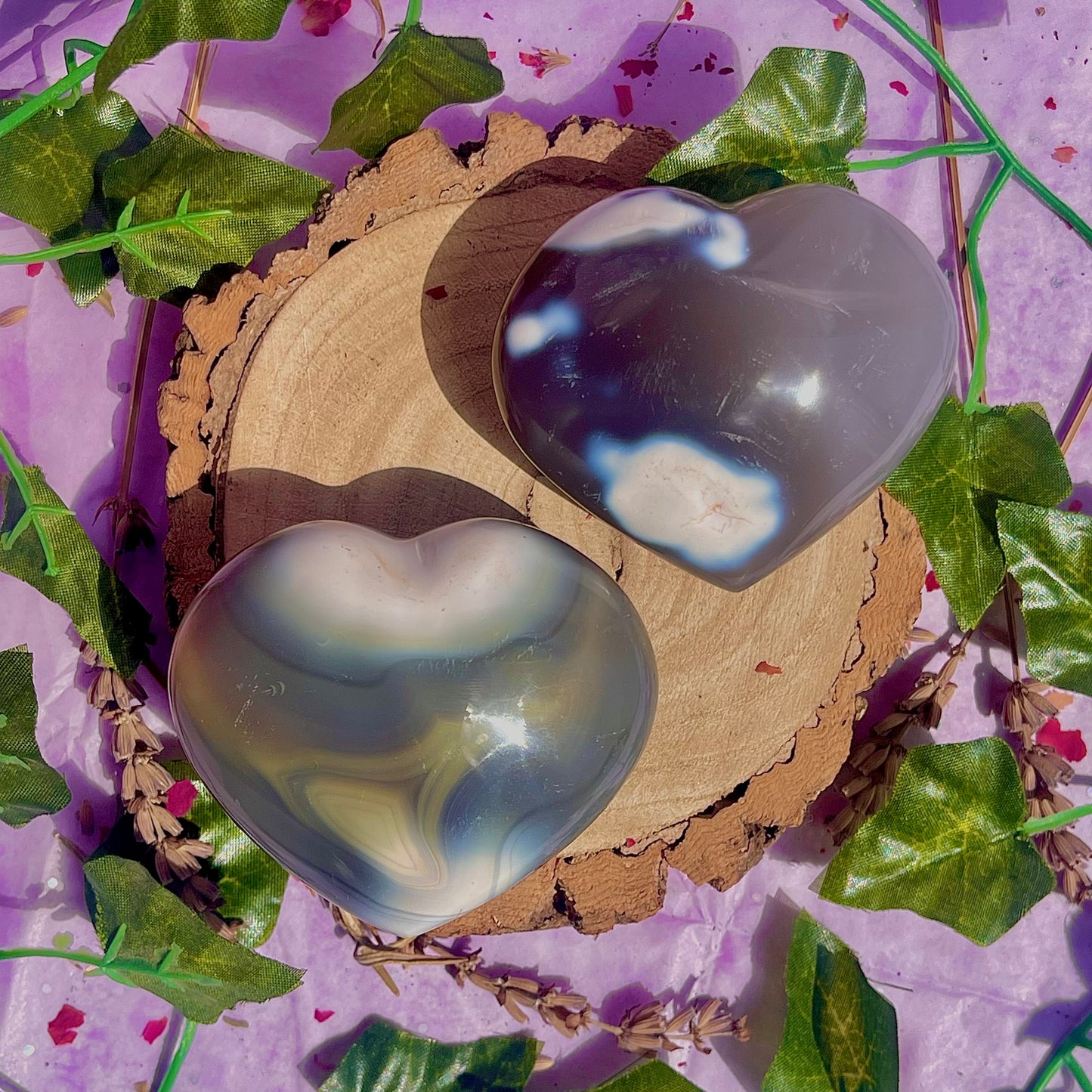 orca agate heart carvings ~ choose your own