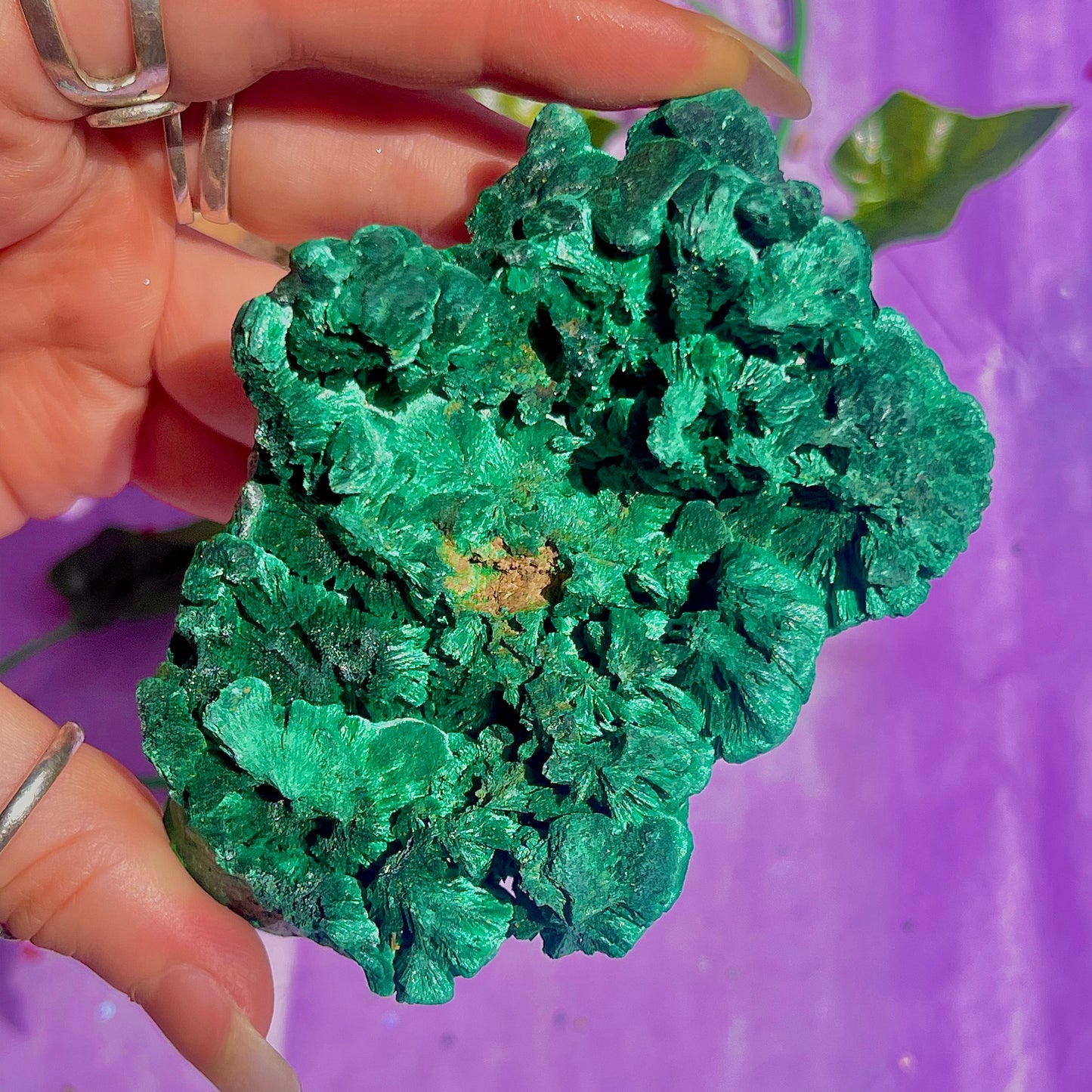 fibrous malachite specimen A (3-4inch)