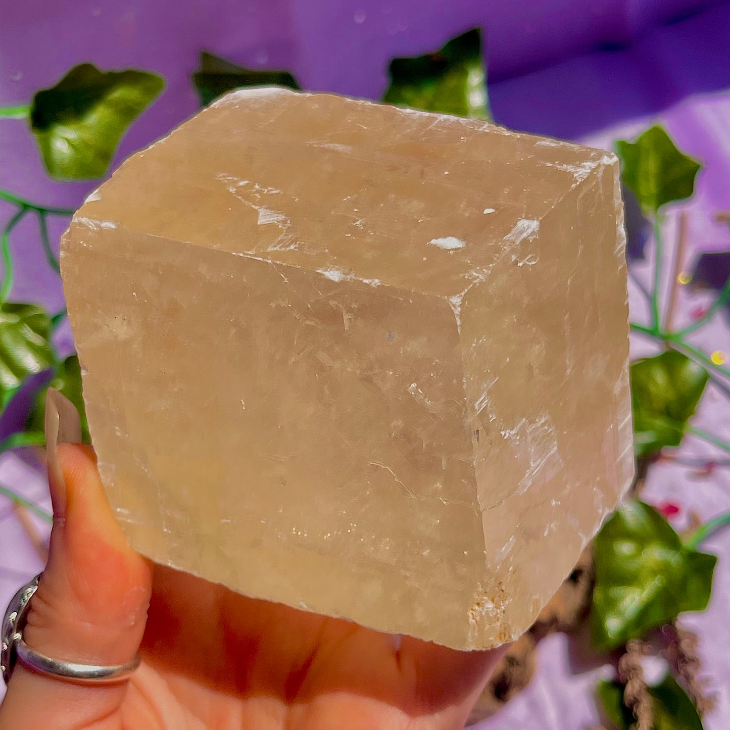optical golden calcite natural rhododendron ~ xlarge