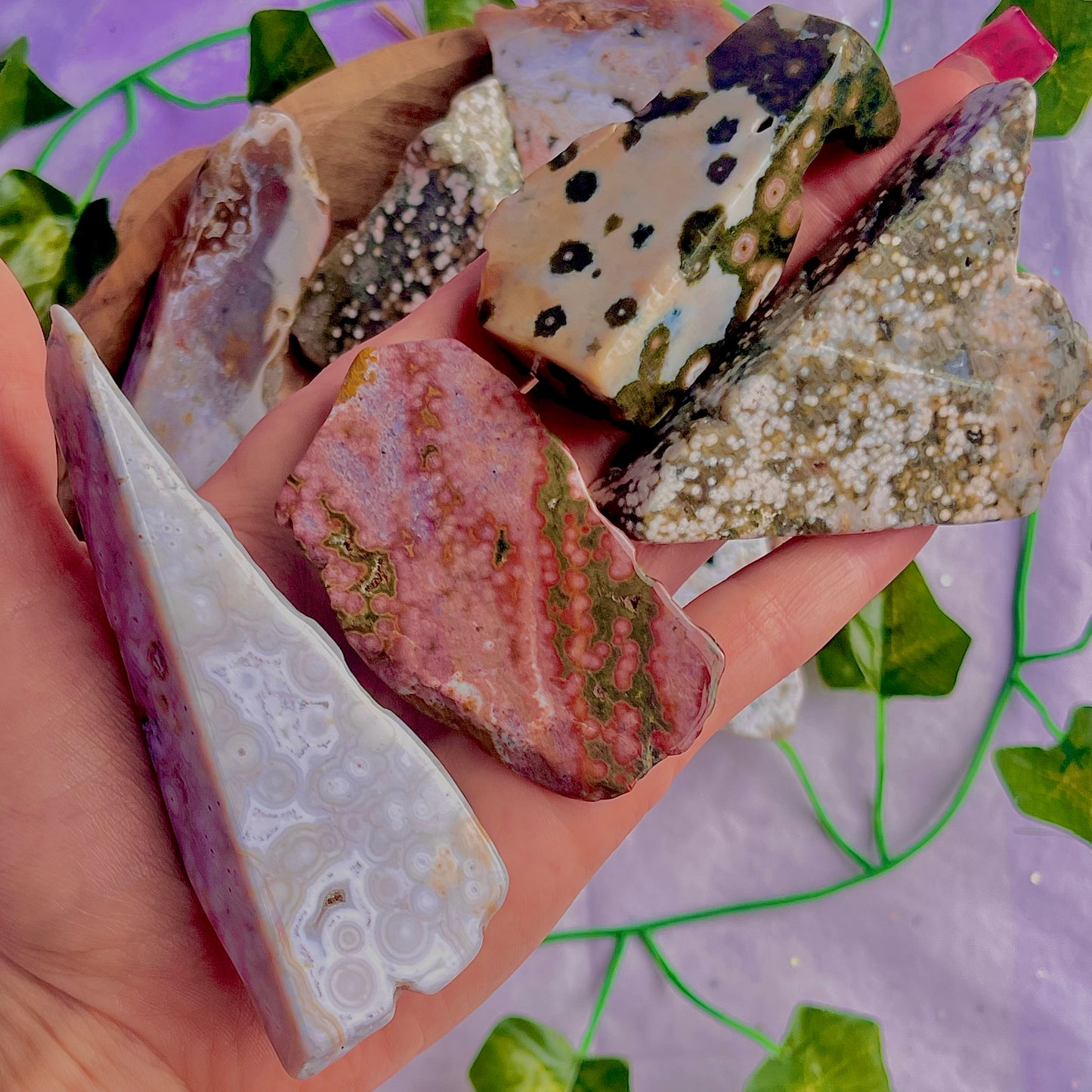 8th vein jasper freeform pieces ~ xlarge