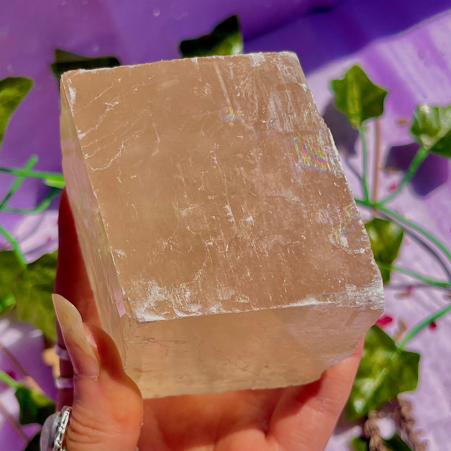 optical golden calcite natural rhododendron ~ xlarge