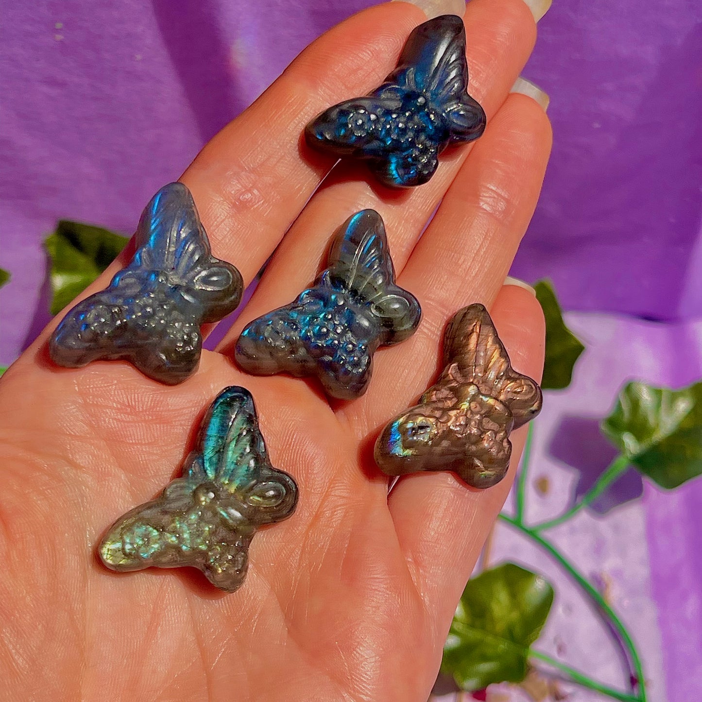 labradorite butterfly carvings ~ intuitively chosen