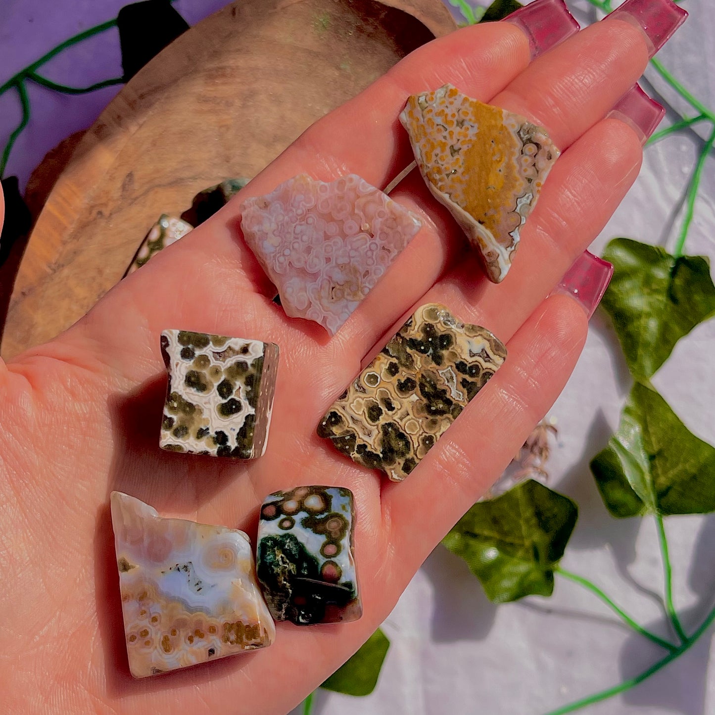 8th vein jasper freeform pieces ~ small