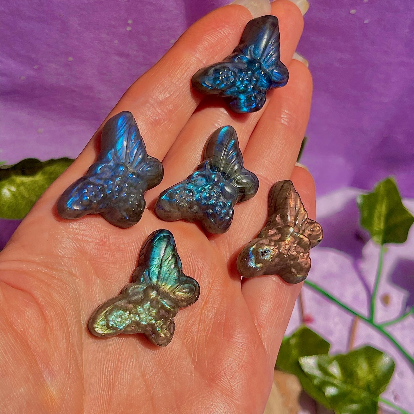 labradorite butterfly carvings ~ intuitively chosen