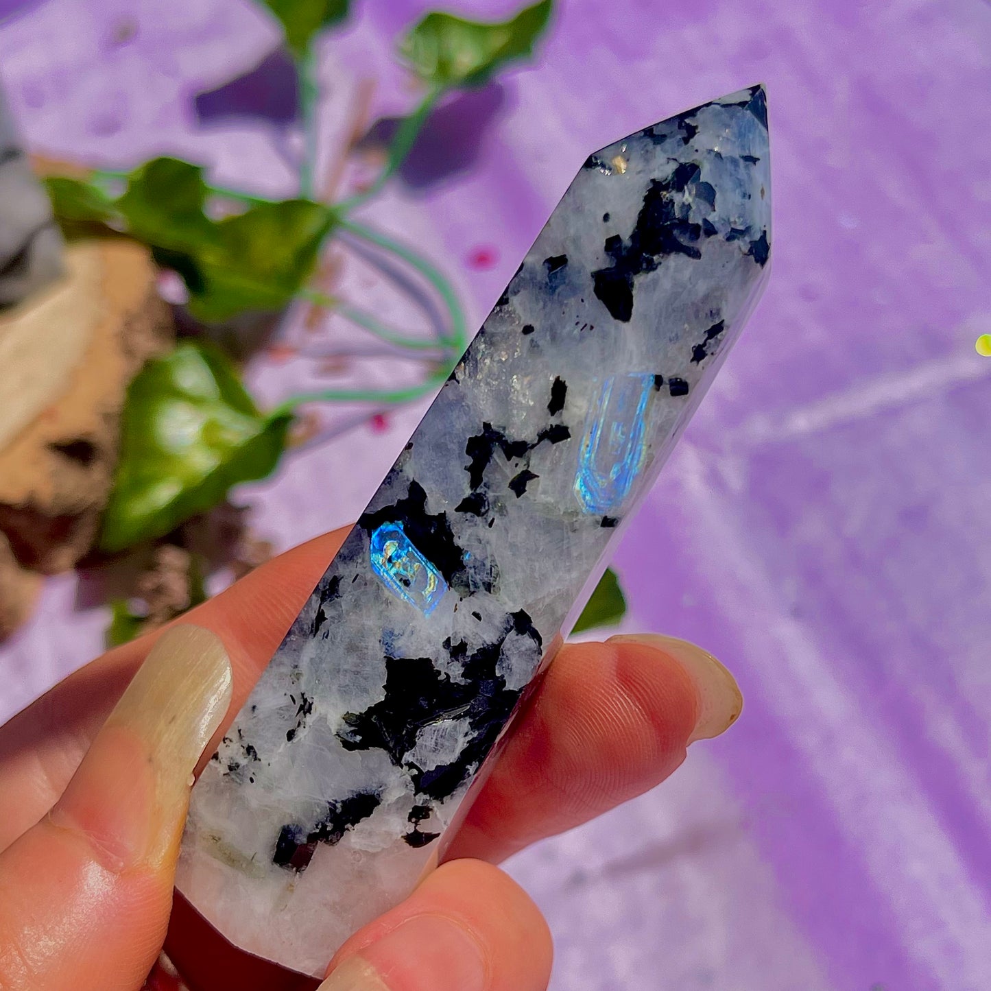 rainbow moonstone towers ~ intuitively chosen