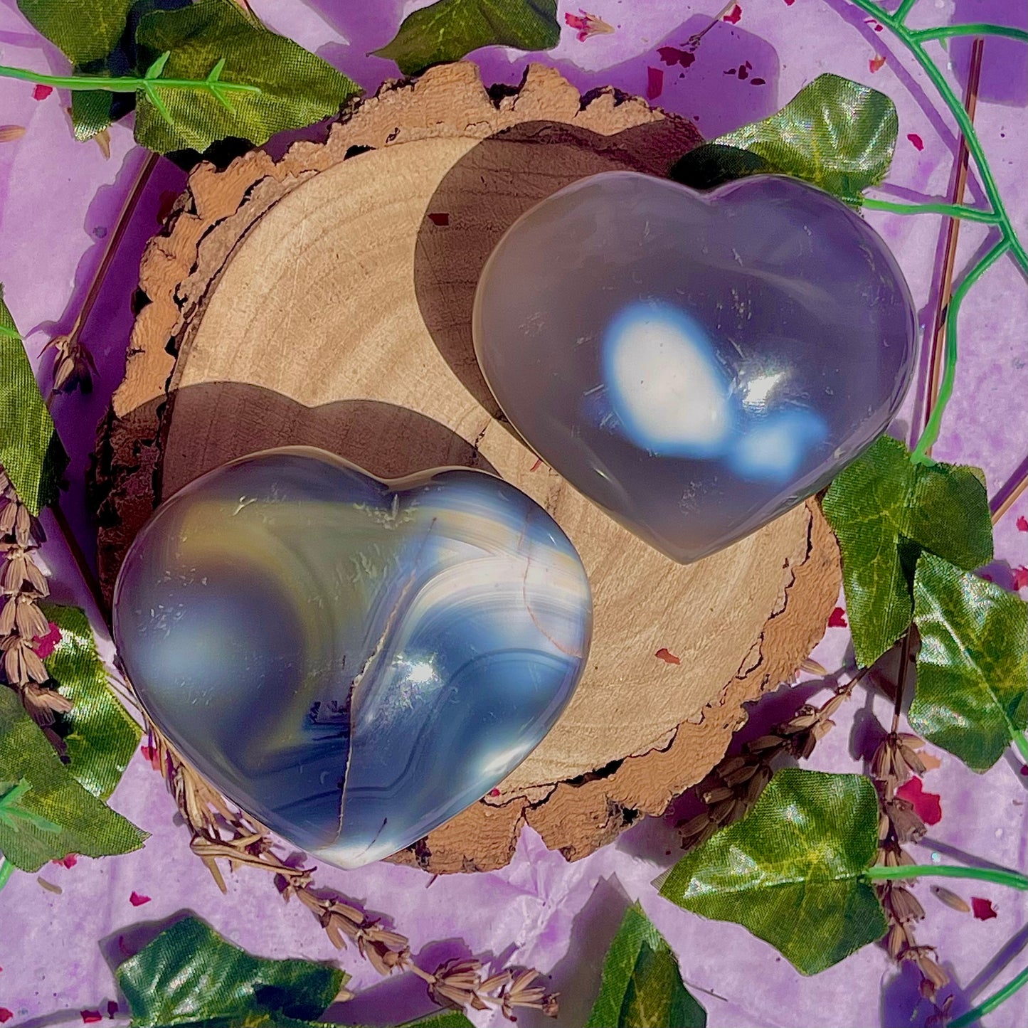 orca agate heart carvings ~ choose your own