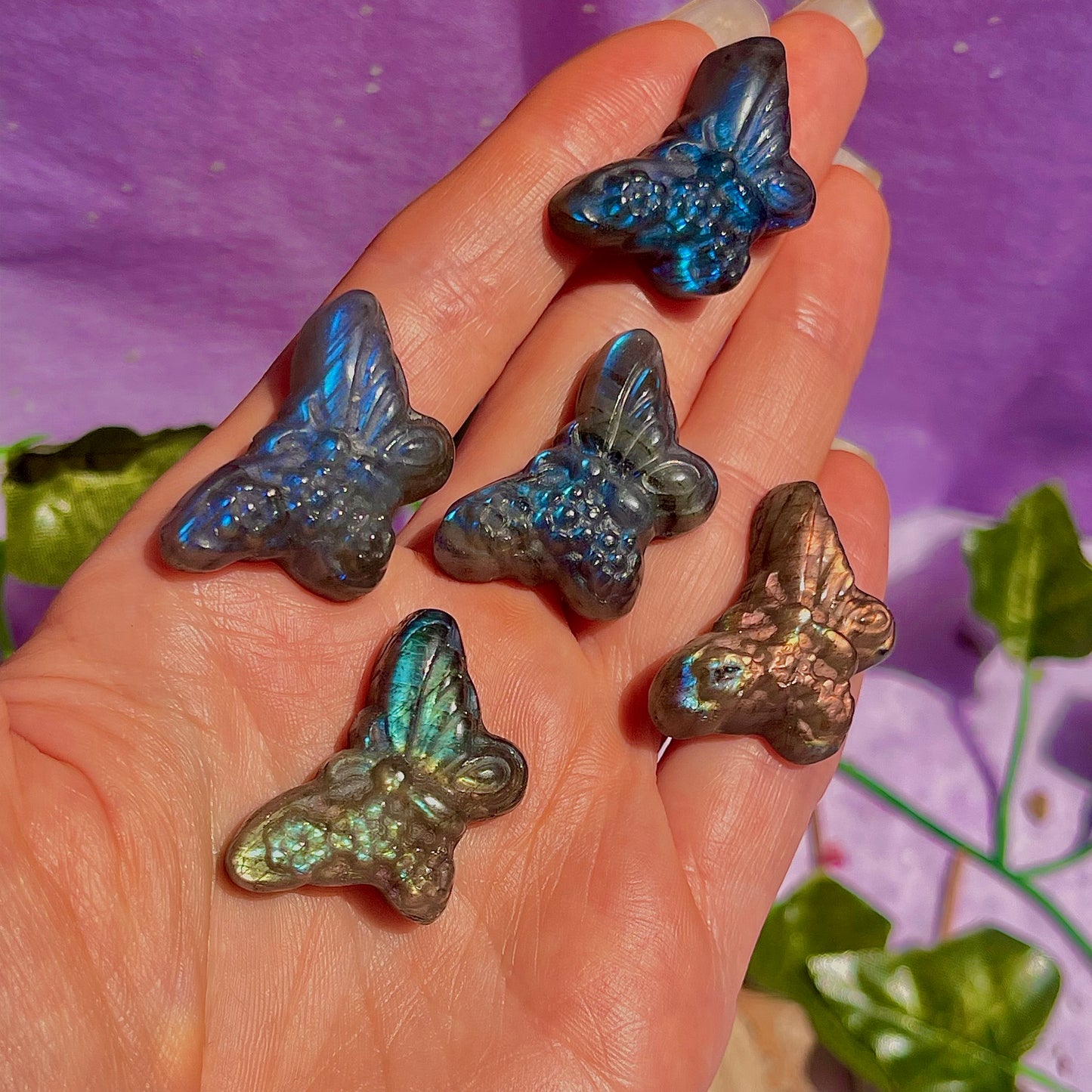 labradorite butterfly carvings ~ intuitively chosen