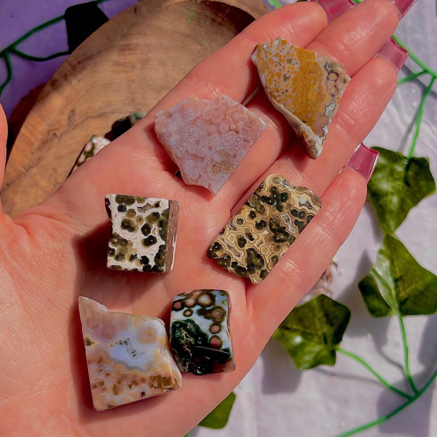 8th vein jasper freeform pieces ~ small