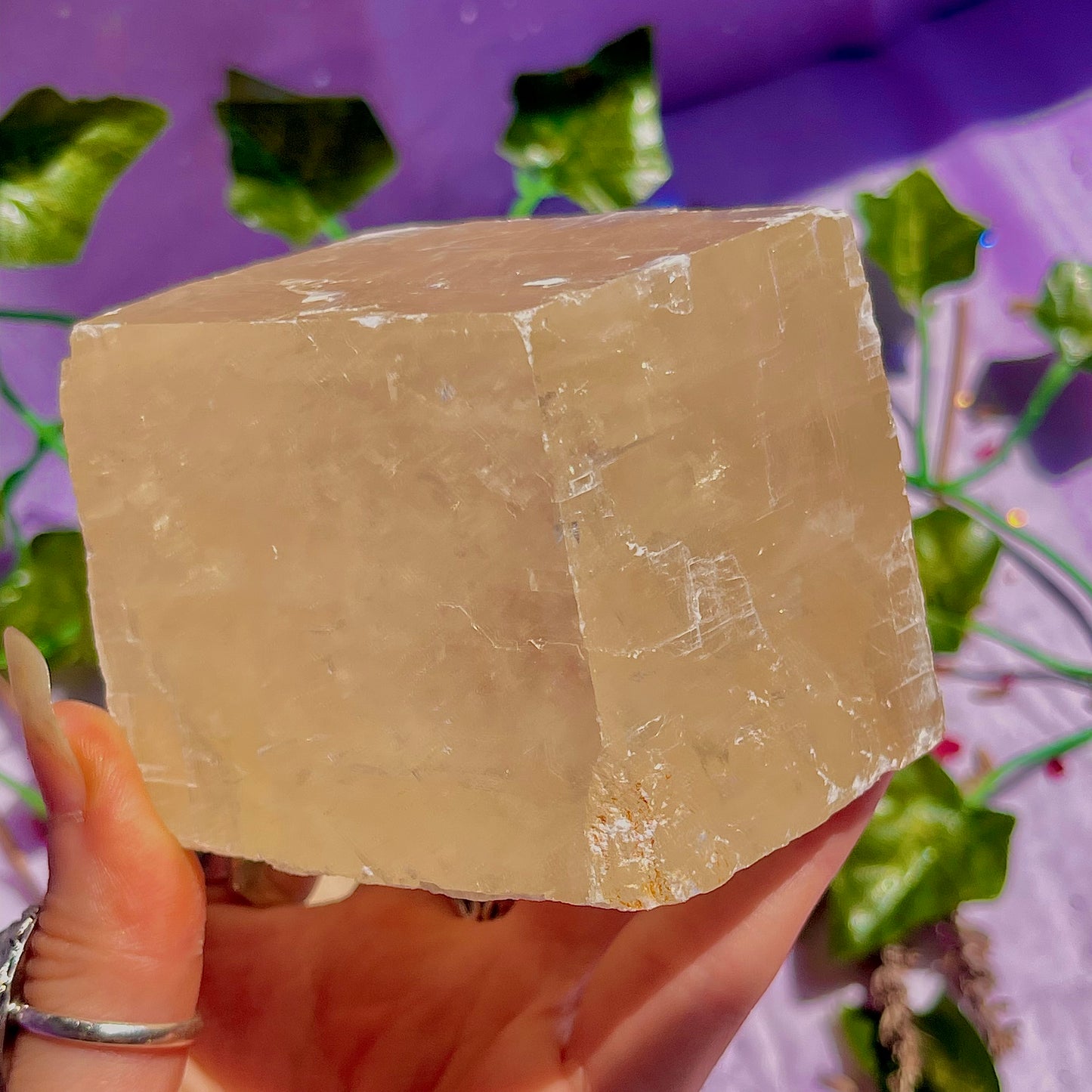 optical golden calcite natural rhododendron ~ xlarge