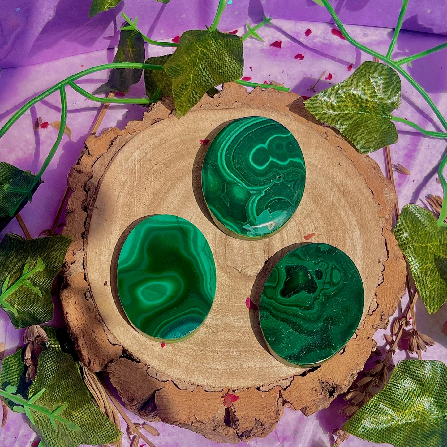 malachite palm stone ~ intuitively chosen