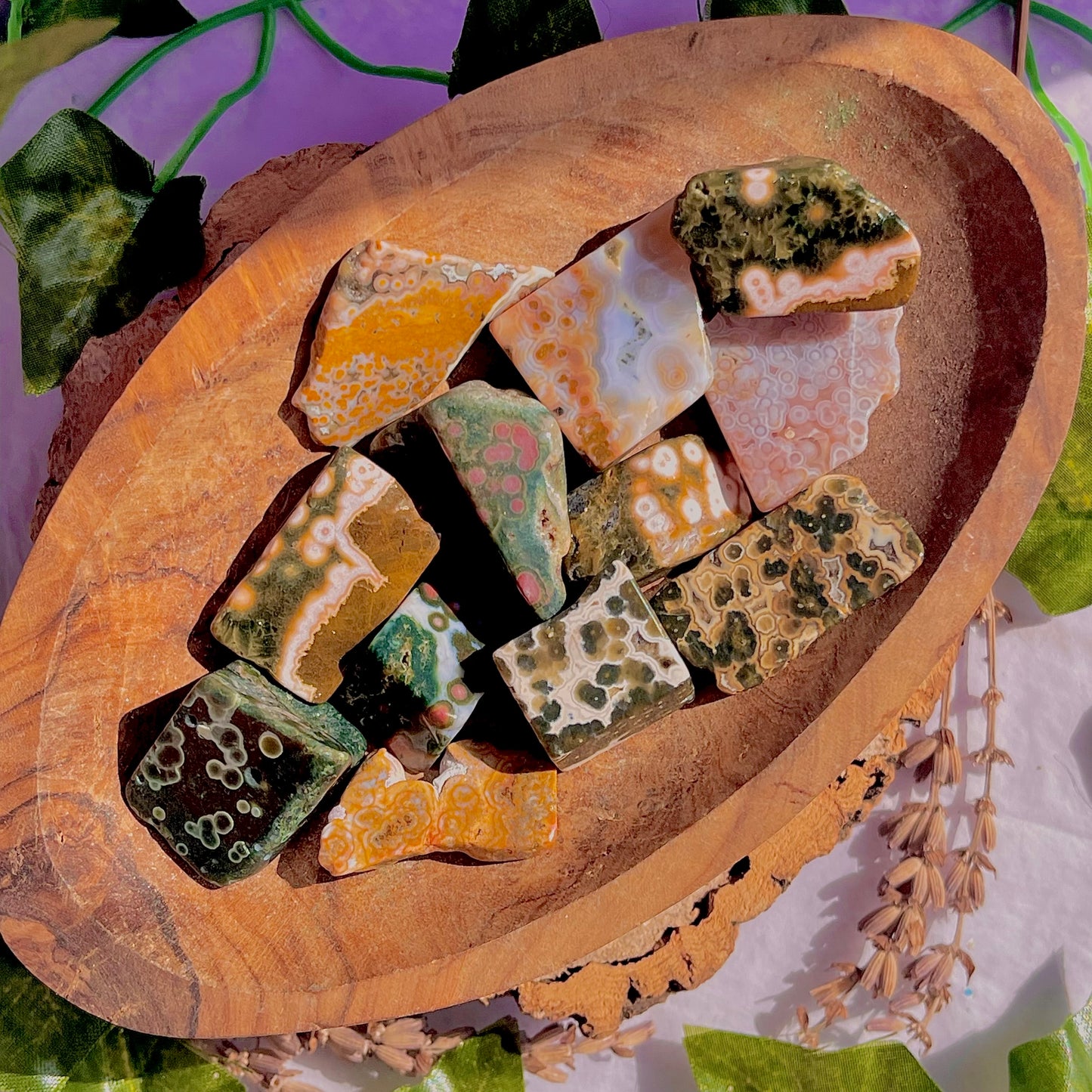8th vein jasper freeform pieces ~ small