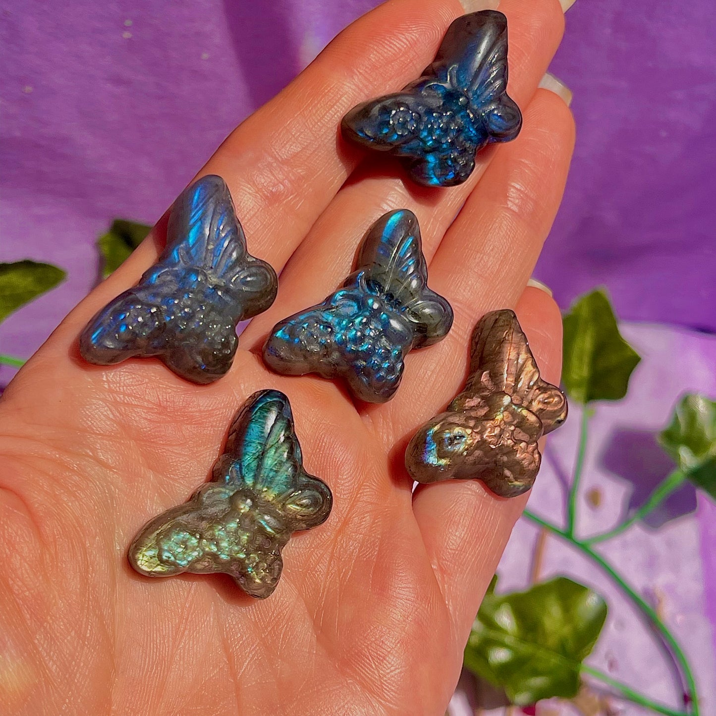 labradorite butterfly carvings ~ intuitively chosen