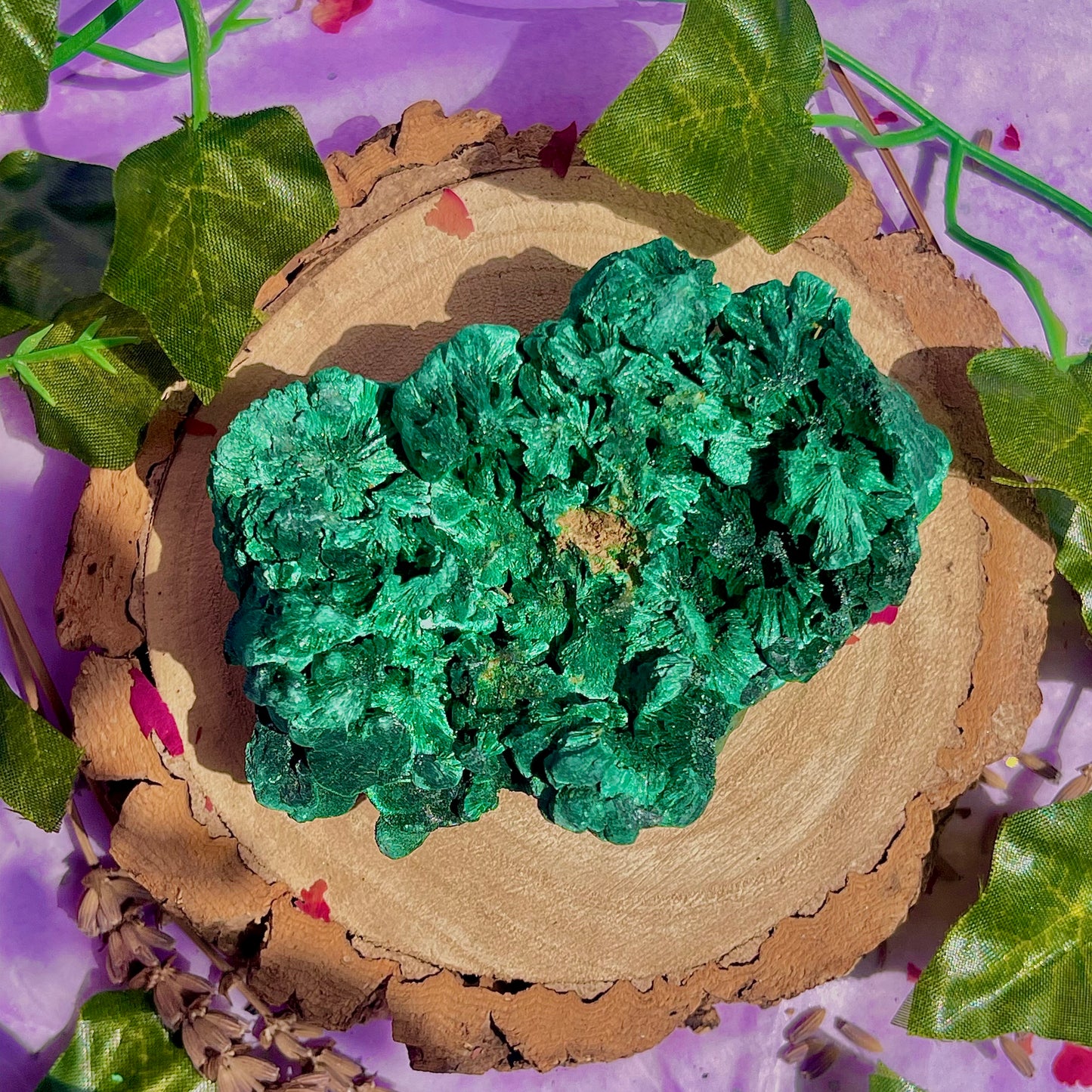 fibrous malachite specimen A (3-4inch)