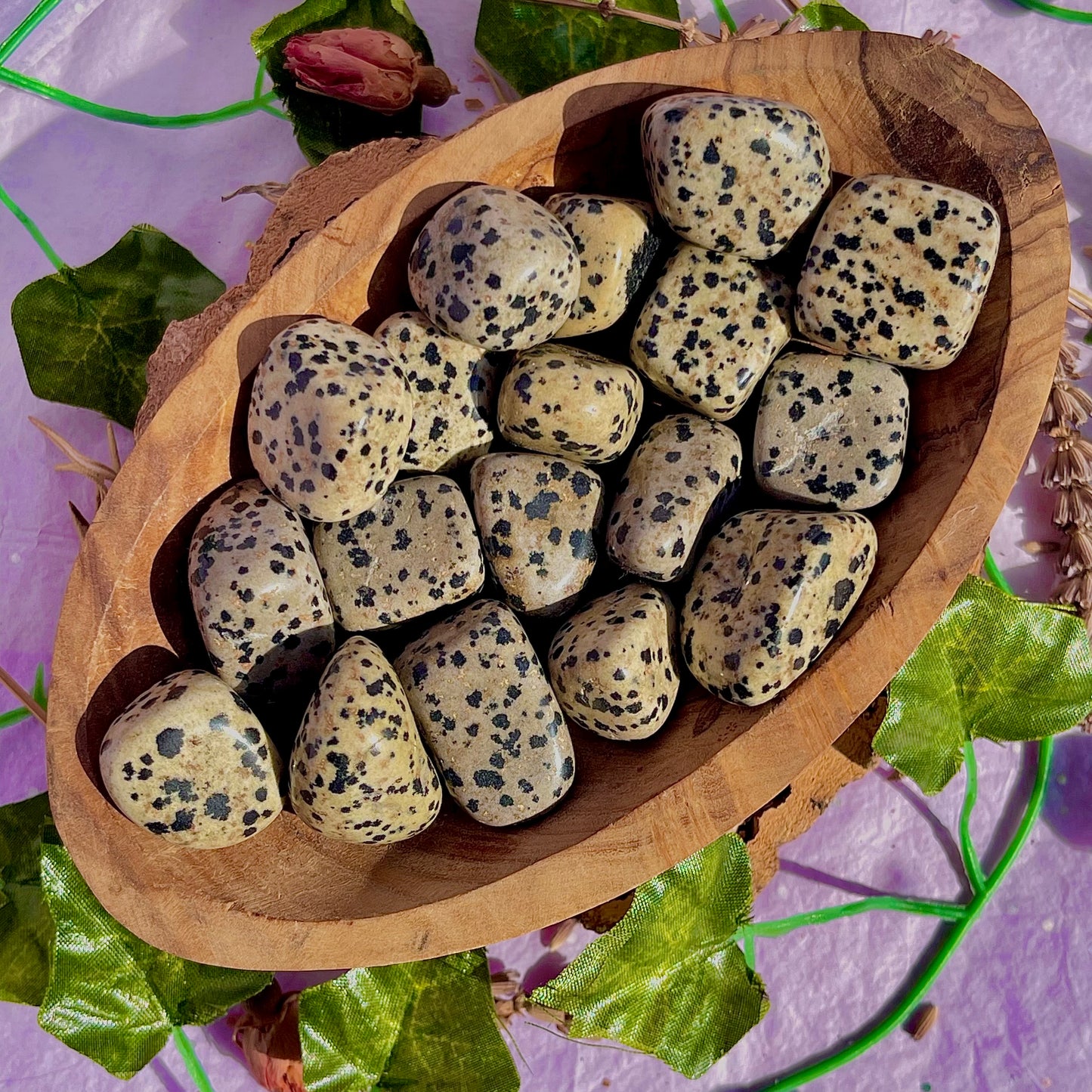 dalmatian jasper tumble