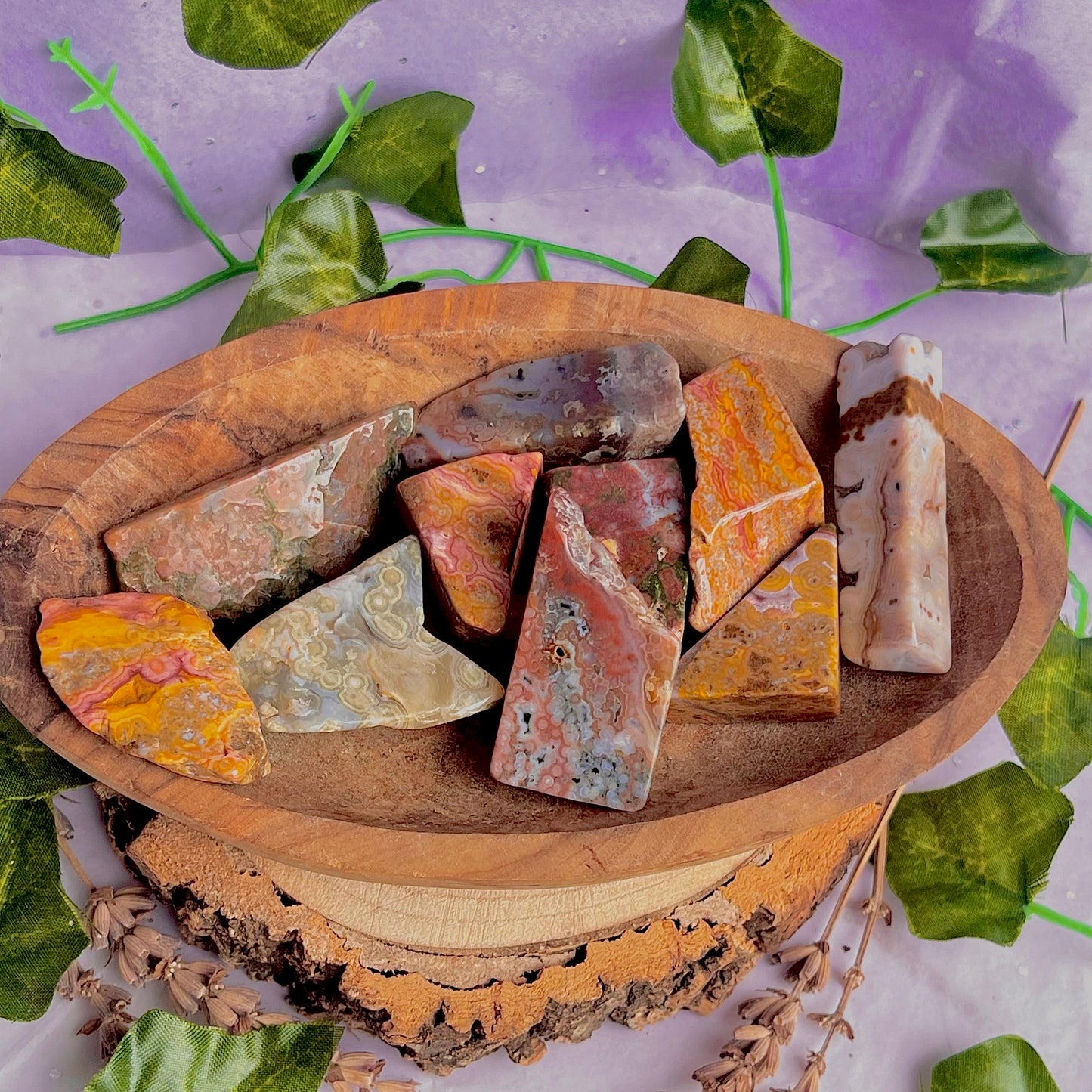 8th vein jasper freeform pieces ~ medium