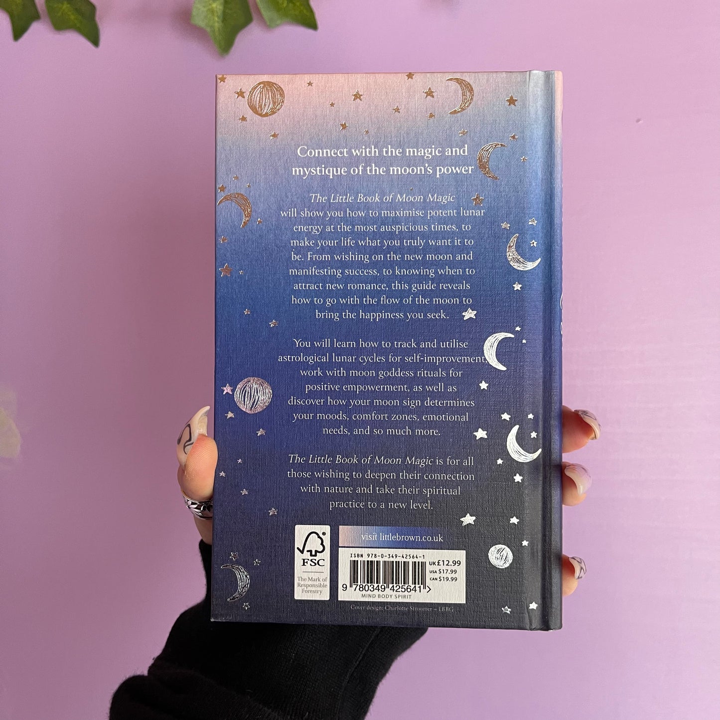 the little book of moon magic