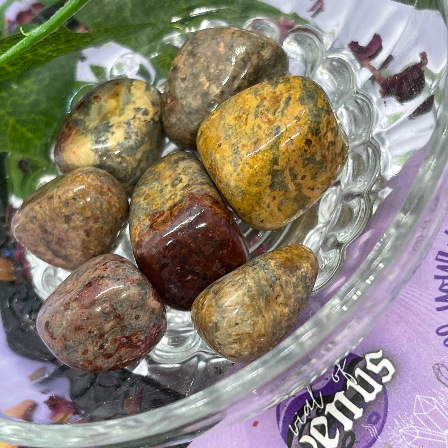 leopard skin jasper tumble