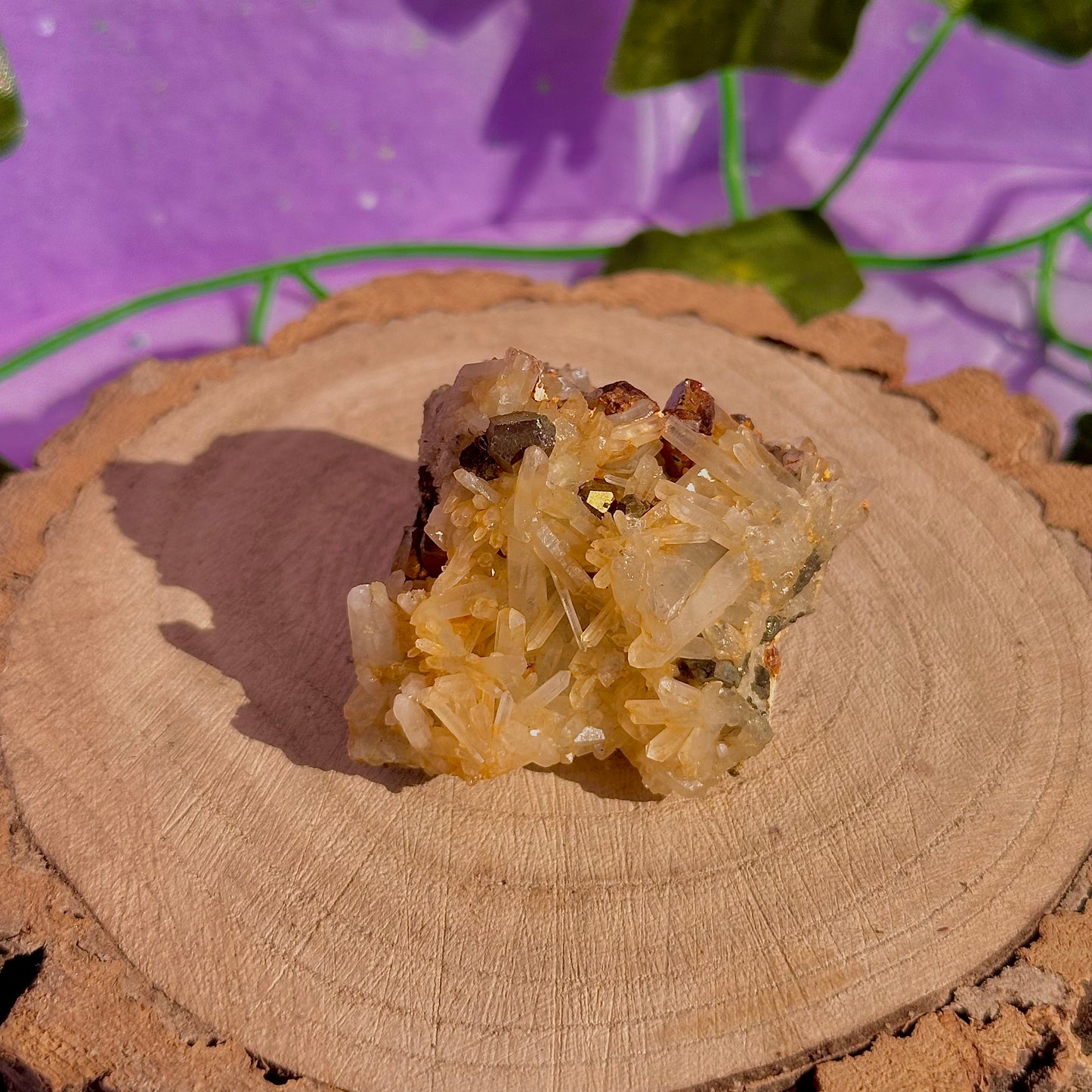 clear quartz with pyrite & golden healer inclusions cluster specimen