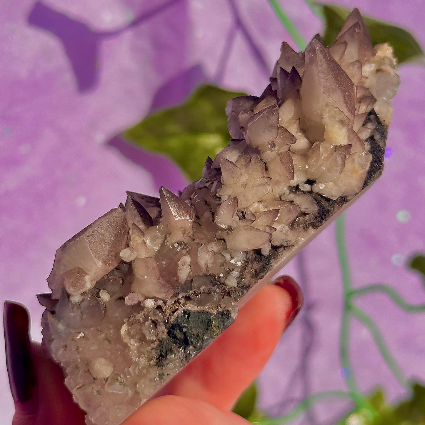 tigers tooth / dogs tooth calcite cluster specimen