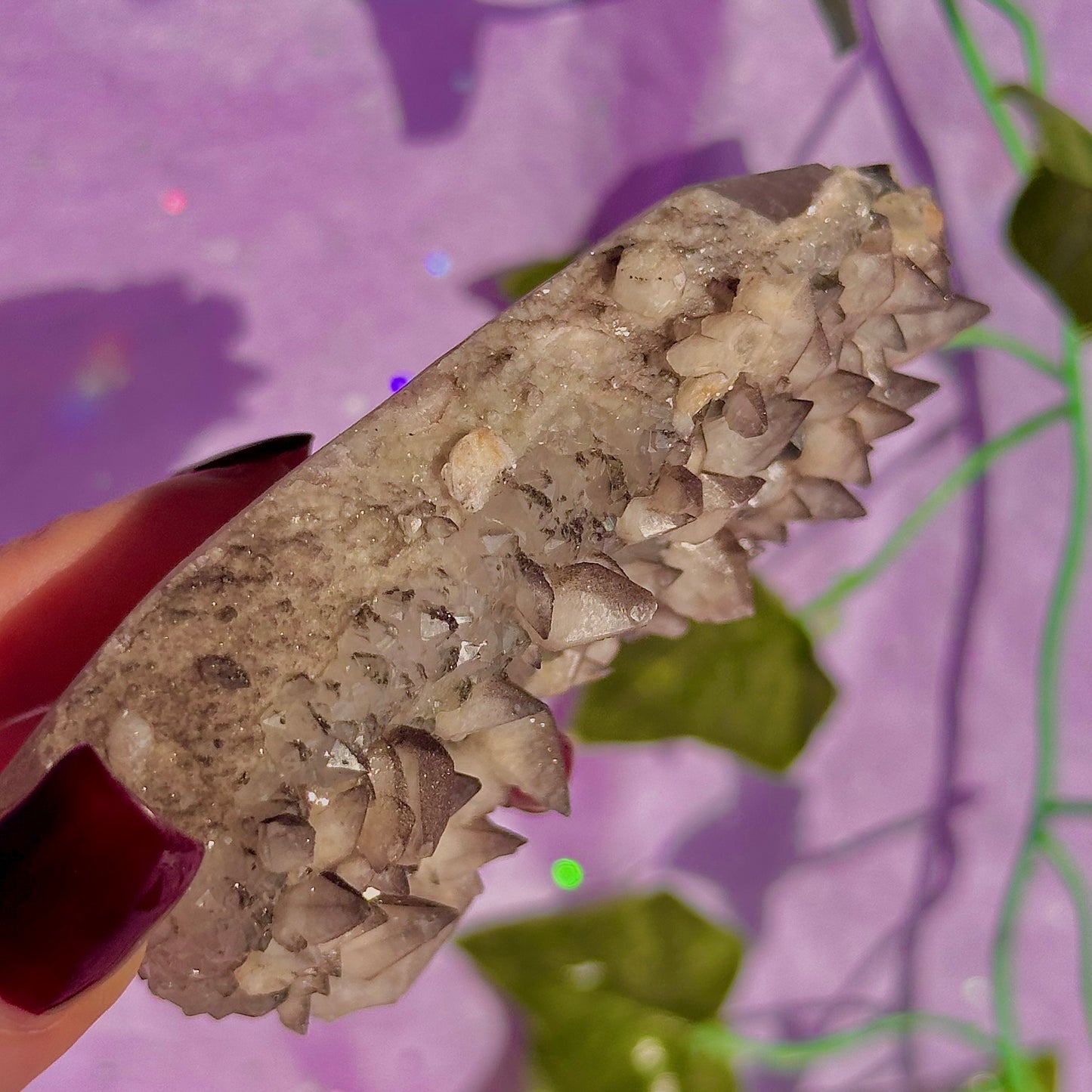 tigers tooth / dogs tooth calcite cluster specimen