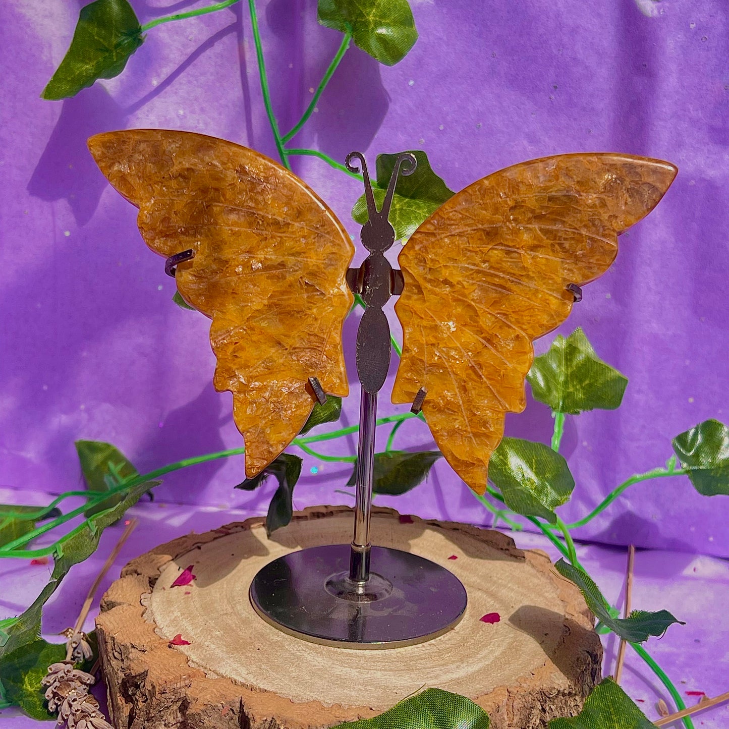 golden healer butterfly wings on stand