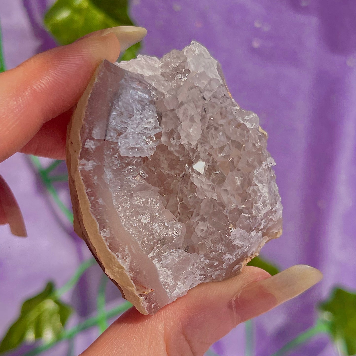 druzy agate geodes D1-5