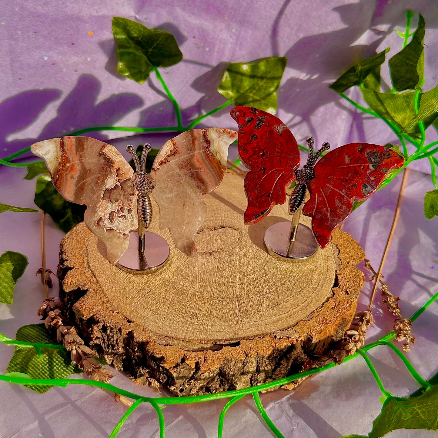 small butterfly wings on stand A ~ choose your own