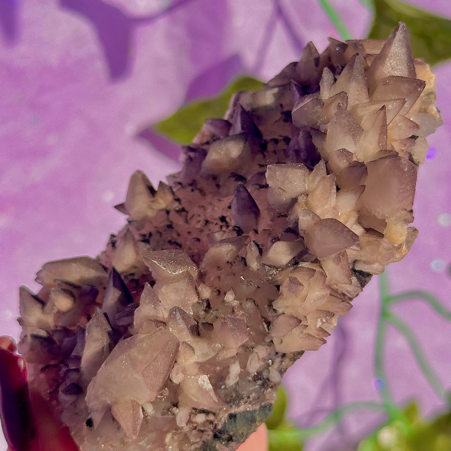 tigers tooth / dogs tooth calcite cluster specimen
