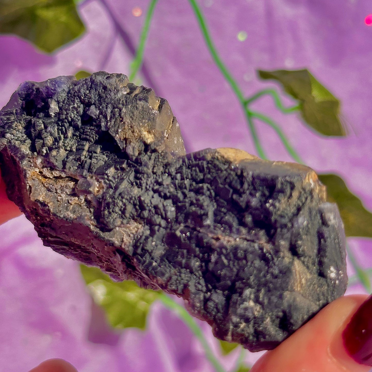 Spécimen de grappe cubique de fluorine rose noire UV