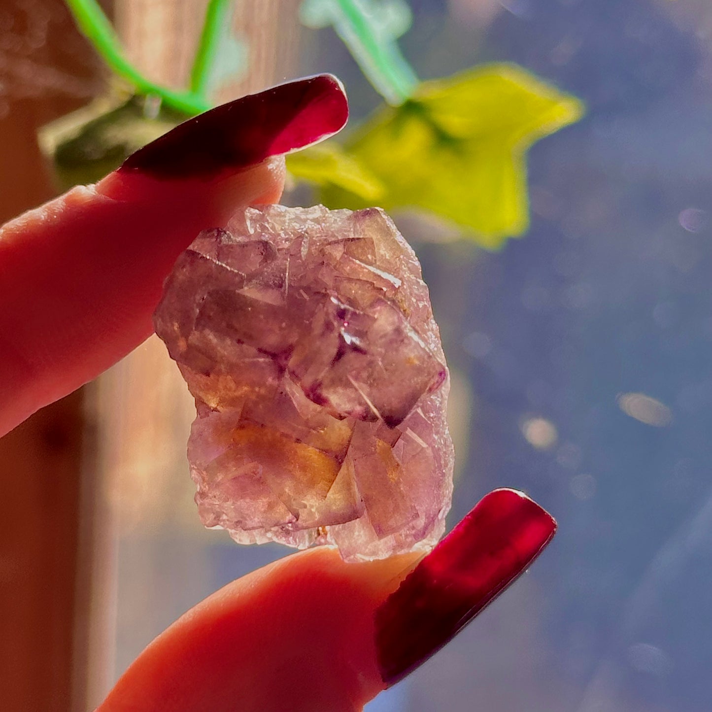 stalactitic UV cubic fluorite cluster specimen ~ choose your own