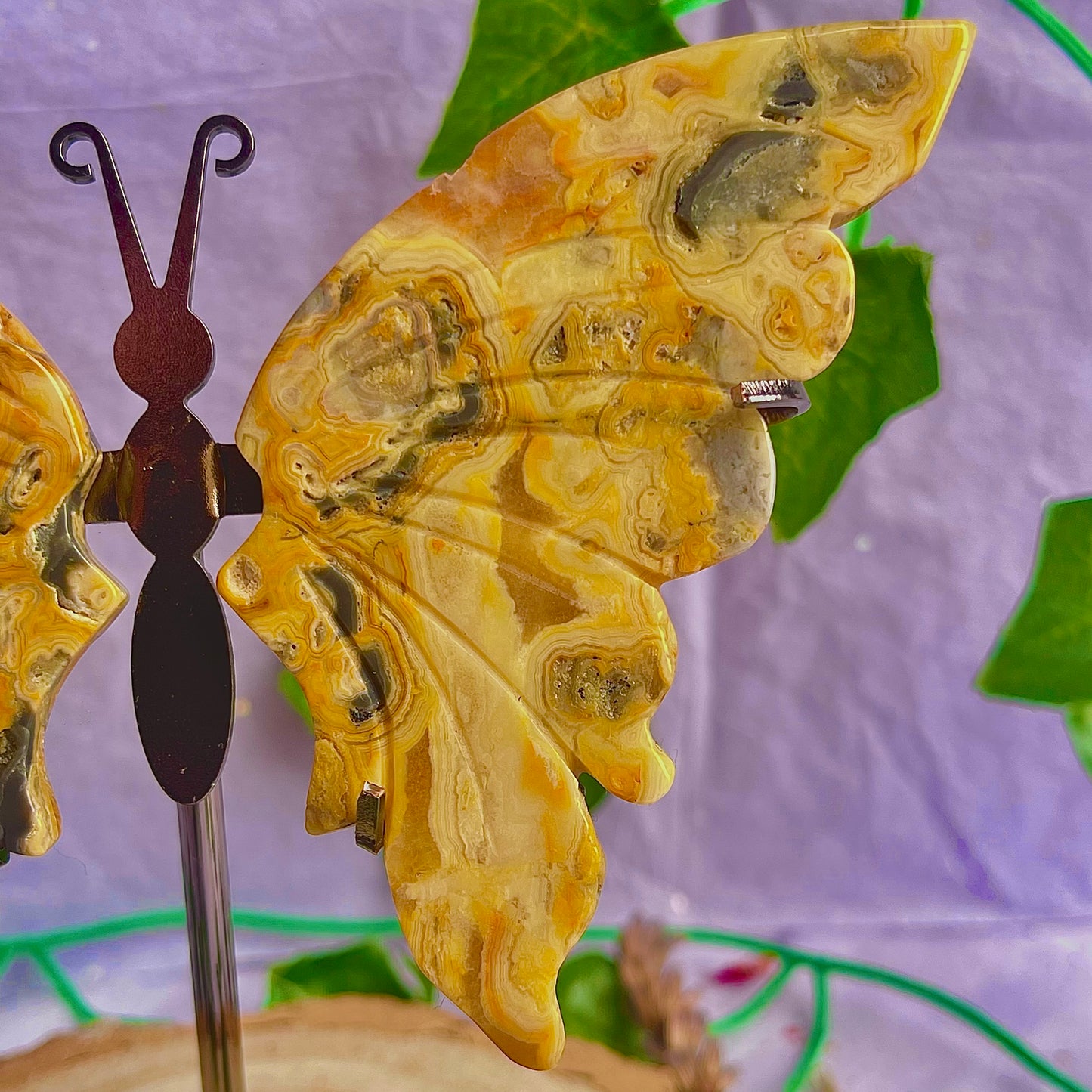 crazy lace agate butterfly wings on stand