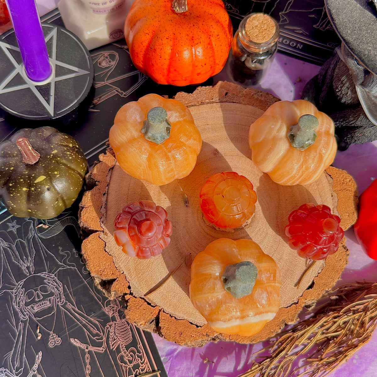 pumpkin carving farm ~ choose your pumpkin