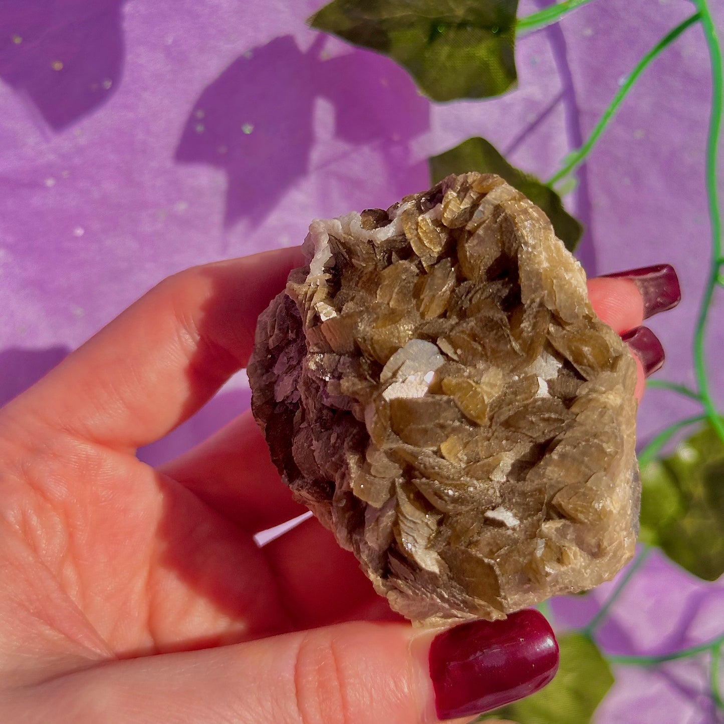 bladed siderite dragon scale cluster specimen