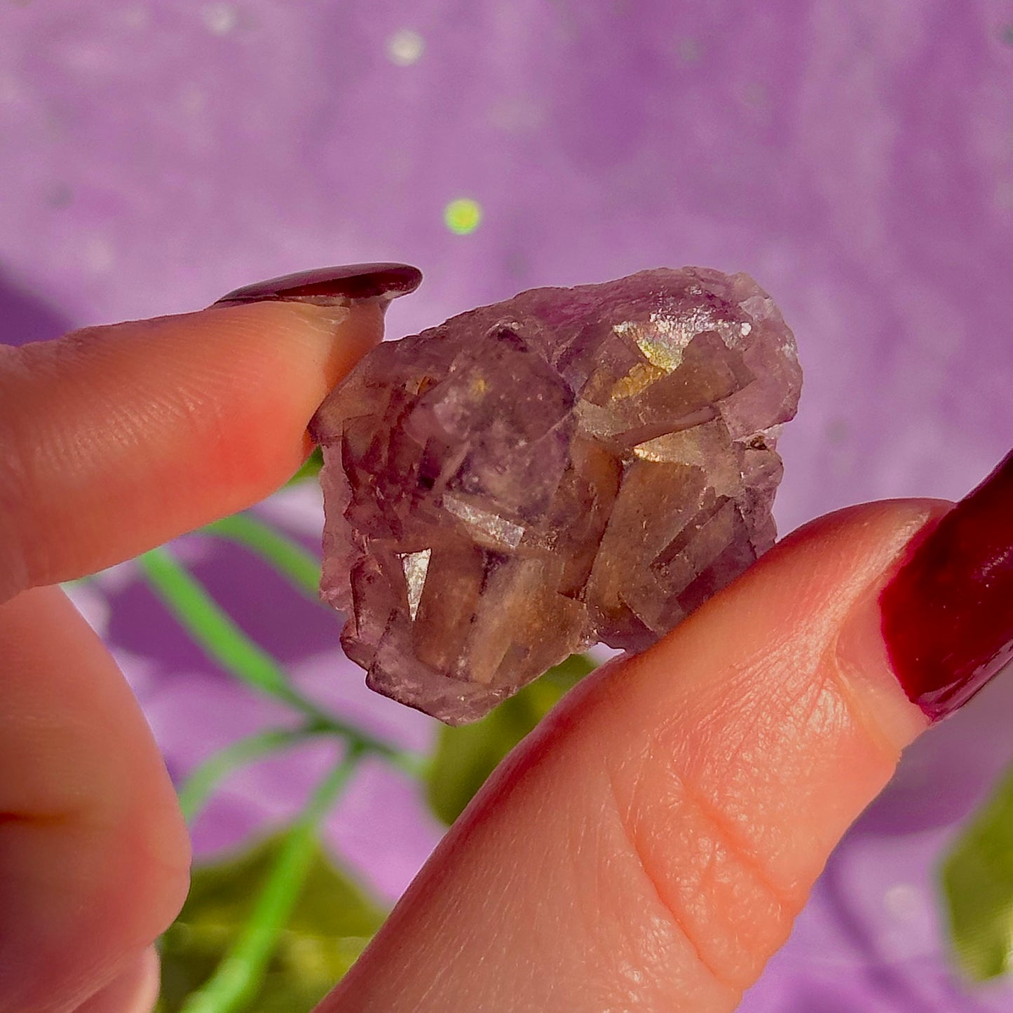 stalactitic UV cubic fluorite cluster specimen ~ choose your own