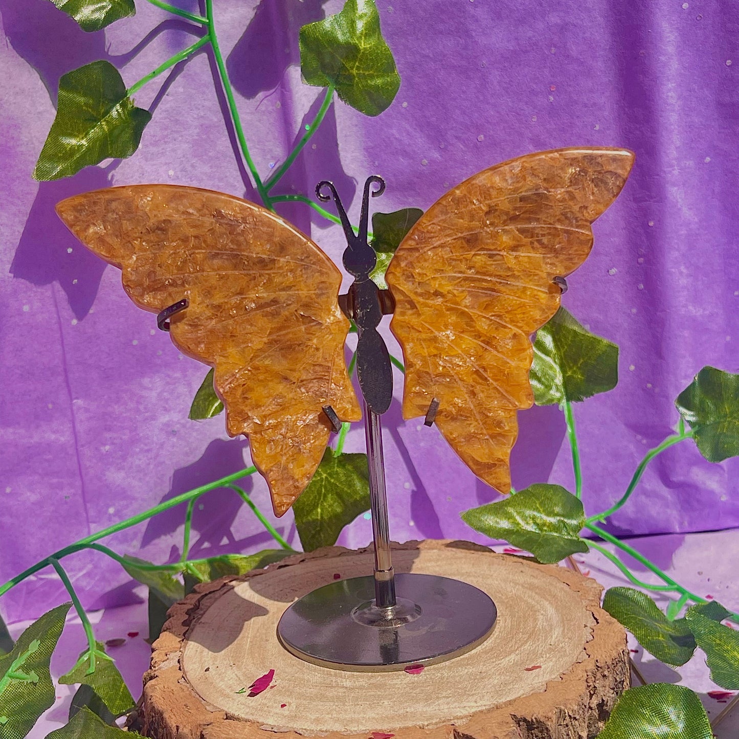 golden healer butterfly wings on stand