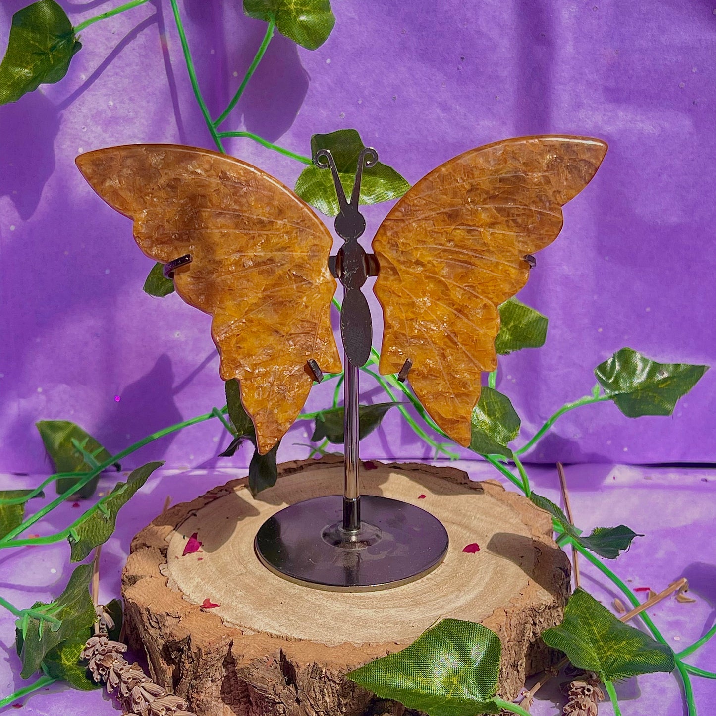 golden healer butterfly wings on stand